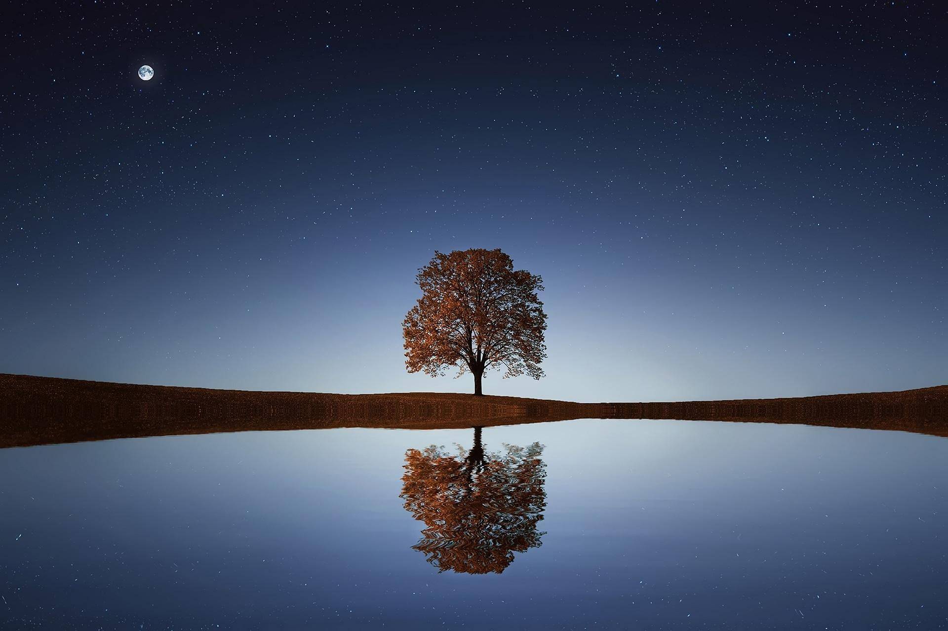 Quelle: Pixabay