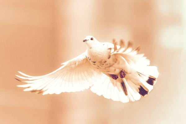 Quelle: Pixabay